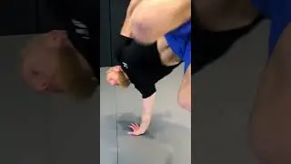 Macaco! 