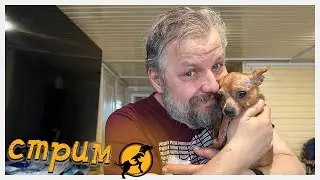 Вечерний стрим, отвечаем на ваши вопросы, делимся новостями 6.04.2024