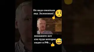 Широкие о Зеленском и Путине