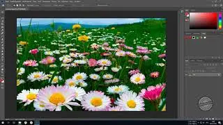 Как изменить размер картинки в фотошопе
