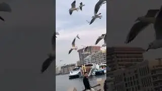 But Dubai lake side