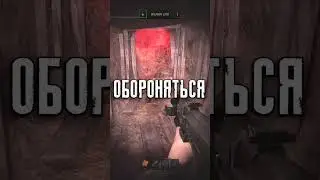Теперь в Сталкер Зов Припяти Можно Играть с Другом 