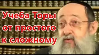 Учеба Торы от простого к сложному. Рав Ашер Кушнир