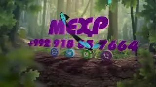 #гтв