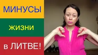 CONS of life in LITHUANIA. Top 12!