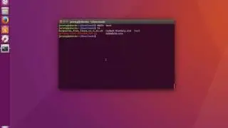Linux Basics: How to Create and Remove Directories (mkdir, rmdir)