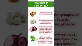 А вы знали? Польза лука