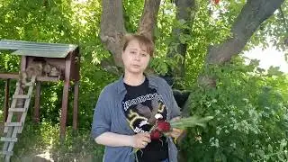 Юлианна Колдовко - праздник Русалии, обряд Букет Русалки