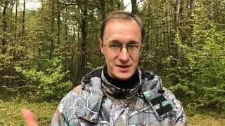 Почему разваливаются семьи? Взаимная ненужность мужа и жены