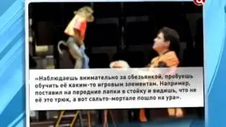Дрессировщики-живодёры оказались в центре внимания