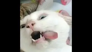 крутим целую десятку