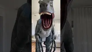 Dinosaur has movie night with dog! 