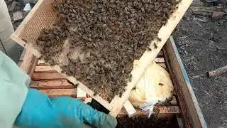 У вас сім'ї на піджатому гнізді ,тоді глянь що відбувається!!!
