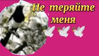Берегите себя и своих близких❤🕊🕊🕊