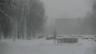 Прогулка в сквере возле дома, в снегопад.