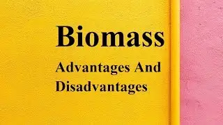 Biomass advantages and disadvantages