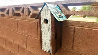 How to Make a License Plate Birdhouse – Outdoors with Trav