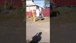 Встреча мамы с дочерью, которую не видела более двух лет.