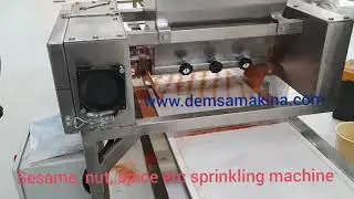 Demsa Granül dökme-Nut, Spice, Sesame etc sprinkler