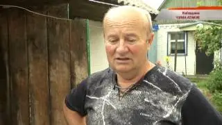На Киевщине бушует африканская чума - Чрезвычайные новости, 10.07