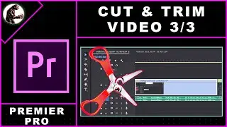 How To CUT And TRIM Video In Premiere Pro 2024