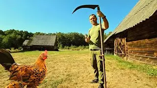Жизнь НА ЗАБРОШЕННОМ ХУТОРЕ. У кур в распоряжении целый гектар и капли воды. Деревенский субботник