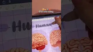 iPad note taking 🤯✍️ apple pencil & goodnotes app | iPad notes aesthetic