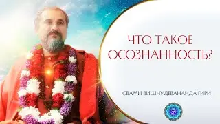 Что такое ОСОЗНАННОСТЬ? | Свами Вишнудевананда Гири 