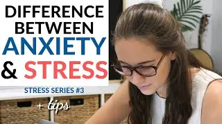 CORTISOL AND ANXIETY (rewiring your anxious brain)