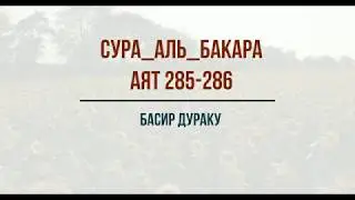 Коран. Сура Аль-Бакара. Аят 285-286. Чтец  Басир Дураку