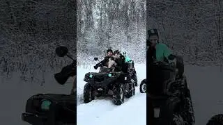Если бы я была собакой