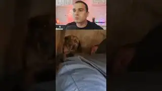 Если я засмеюсь, то ты проиграешь 🤣