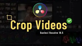 How to Crop Video in Davinci Resolve 18.5 ✅