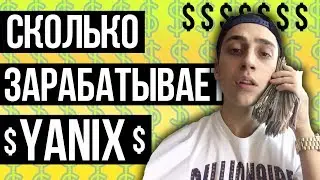 СКОЛЬКО ЗАРАБАТЫВАЕТ YANIX. ЕЖЕМЕСЯЧНЫЙ ДОХОД