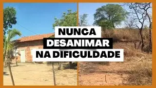 O lago do sítio acabou! Tem novidades no Sítio ainda há uma esperança!