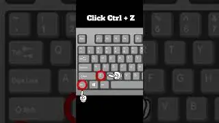 Keyboard shortcut | Undo command (Ctrl+Z)