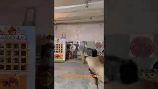 Страйкбол на сжатом воздухе 5атм