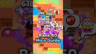 Rank 50 Mico Guide