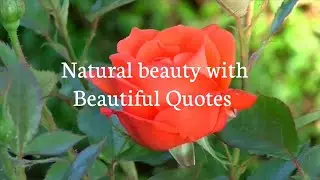 Natural beauty with Beautiful Quotes #breathtakingviews #nature #naturelovers #qoutes
