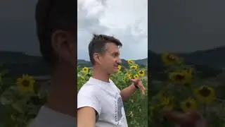 Впечатления в Сочи #airbnb