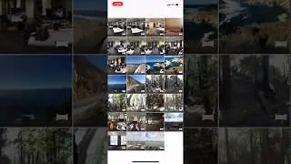 iOS Machine Learning Vision Demo