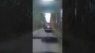 Он бесконтактно уничтожил быдло на дороге  🚗🪓🧔🏻