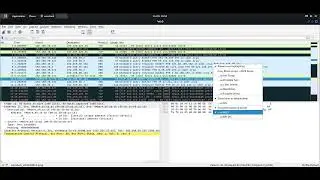 Wireshark settings for traffic monitoring