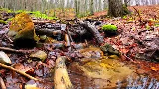 ВОССТАНОВЛЕНИЕ НЕРВНОЙ СИСТЕМЫ 🌿 Нежная музыка, успокаивает нервную систему и радует душу #30