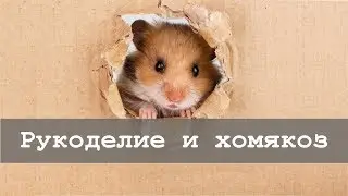 Хомякоз в алмазной вышивке | Поговорим-порукоделим