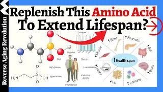 A Validated, Accessible & LOW-COST Supplement To EXTEND LIFESPAN?