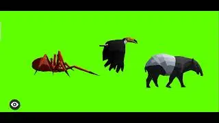 Animals Walking | Green Screen Animals| Green Screen Animals effects | 