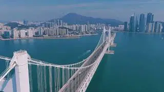 No Copyright Sea Bridge | Cable Bridge Stock Footage Video | Royalty Free