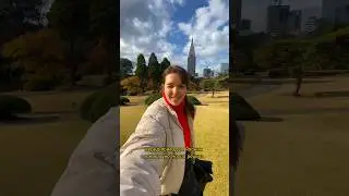 В какой же город поехать? 🇯🇵