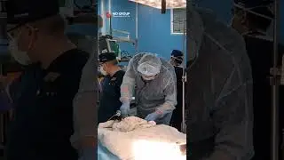 История ребенка: операция на 3 сутки жизни 